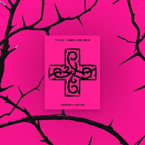  【세트】 투모로우바이투게더 (TXT) - 7TH YEAR: 가시덤불에 잠시 바람이 멈췄을 때 (PPULBATU Ver.)(Weverse Albums ver.)